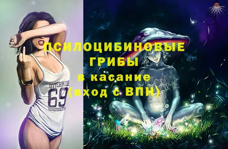 Галлюциногенные грибы Magic Shrooms Татарск